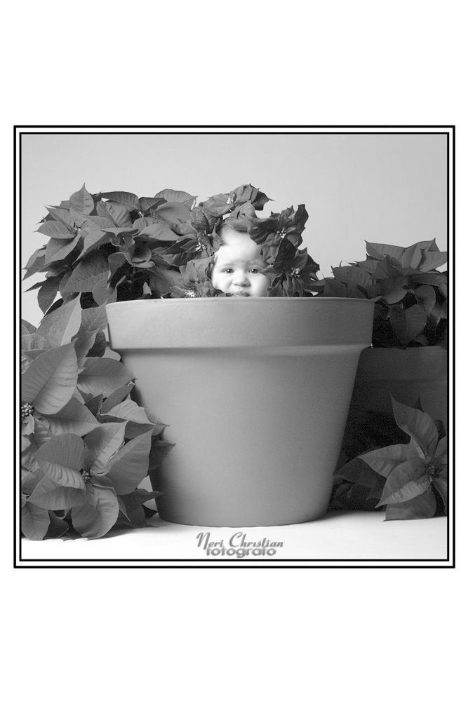 KIDS - STORICHE